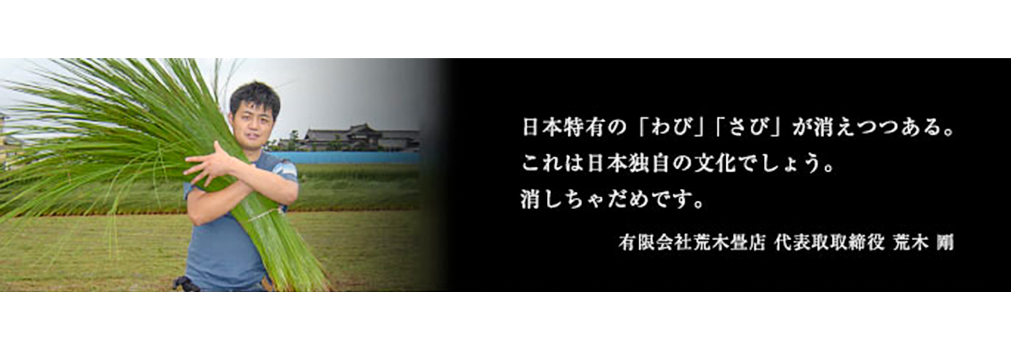 ダミー